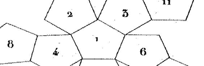 numbered cells
