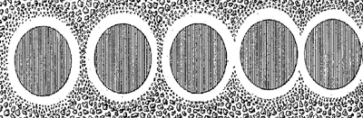 separated cells